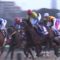 【競馬】クローズアップ現代でディープ特集の再放送
