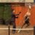 【競馬】マツパクがいよいよ引退なわけだが