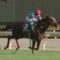 【競馬・毎日王冠】サリオスってここ勝っても秋天いくか怪しいぞ