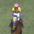 【競馬・ヴィクトリアM】サウンドアキラの複勝に10万円ブチ込む予定だけど不安要素ある？