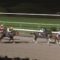 【競馬・南部杯】ゴールドドリーム単1.3倍を飛ばすルメールｗｗｗｗｗｗｗｗｗｗｗｗｗｗｗｗｗｗｗｗ
