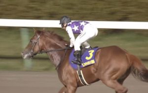 【競馬・南部杯】地方NO1ジョッキーの吉原をなんとか中央へ！