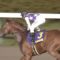【競馬・全日本2歳優駿】JRA勢粉砕www吉原上手すぎワロタｗｗｗｗｗｗ