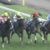 【競馬】秋競馬に全然心ときめかない 【競馬】秋競馬に全然心ときめかない