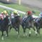 【競馬】安田記念13着のダノンプレミアムさん、天皇賞秋に正式に参戦決定！！