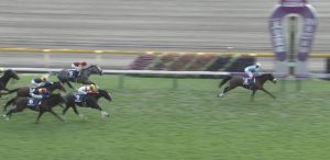 【競馬】川田がアーモンドアイのメイショウドトウ化してる件について