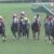 【競馬・セントライト記念】レーベンスティール強すぎワロタwwwwwwwwwwwww 【競馬・セントライト記念】レーベンスティール強すぎワロタwwwwwwwwwwwww