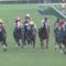 【競馬】3/25（水）20時現在JRA公式HPwww