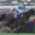 【競馬】悲報・・ジャパンカップの想定、アーモンドアイの名前無し
