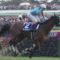 【競馬・有馬記念】アーモンドアイの単勝に2650万ぶち込みwww