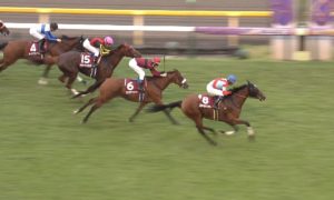 【競馬・府中牝馬S】小林雅巳「スカーーーーーレットカラーーーーーーー」←うぜえｗ
