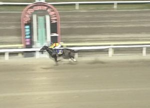 【競馬】亀谷敬正の血統予想ってどうなの？