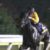【競馬】安田隆行師激怒！北村友一の関係、完全に終わる