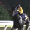 【競馬・札幌記念】ブラックホール石川「敗因が分からない」