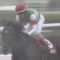 【競馬】サートゥルナーリア、ジャパンカップ直行