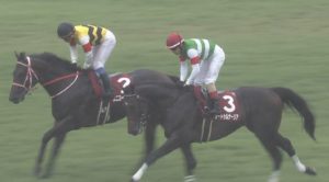 【競馬】現役最強牡馬サートゥルナーリア大阪杯出走が決定