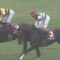 【競馬・金鯱賞】サートゥルナーリア公開調教で強すぎワロタｗｗｗｗｗｗｗｗｗｗｗｗｗｗ