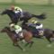 【競馬】急募・・ヴェロックスの今後のローテ