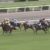 【競馬・菊花賞】メロディーレーンちゃん5着！！！！！