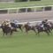 【競馬・菊花賞】メロディーレーンちゃん5着！！！！！