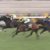 【競馬・菊花賞】ヴェロックス川田将雅ｗｗｗｗ【GⅠ1番人気4連敗＆今年GⅠ未勝利継続】