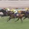 【競馬・菊花賞】ヴェロックス川田将雅ｗｗｗｗ【GⅠ1番人気4連敗＆今年GⅠ未勝利継続】