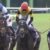 【競馬】ワールドプレミアの大塚亮一オーナー馬主撤退か？　毎年大活躍のセレクトセールで今年は1頭も購入せず