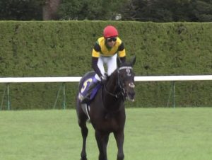 【競馬】武豊覚醒ｗｗｗｗｗｗｗｗｗ