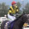 【競馬】悲報・・武豊さんのG1騎乗馬、騎乗予定馬が次々と消えていく