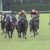 【競馬・訃報】カワカミプリンセス死す 【競馬・訃報】カワカミプリンセス死す