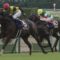 【競馬・有馬記念】ワールドプレミア強くね？？？？
