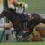 【競馬】ワールドプレミアが骨折しなかったらダービーも勝ってた可能性