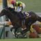 【競馬】菊花賞の売り上げ、大きくダウン。入場者数は前年並み　なんで？