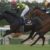 【競馬】有馬3着後休養中のワールドプレミアはジャパンCで11ヶ月ぶり復帰