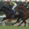 【競馬】これで令和初の春天はワールドプレミア武豊で決まったわけだが