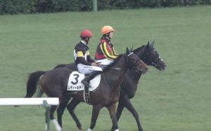 【競馬】藤田菜七子さん 今週は土曜3鞍、日曜1鞍の計4鞍のみ・・・