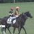 【競馬】もう菜七子に減量特典やる必要なくね？【新潟で1日4勝】