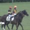 【競馬】もう菜七子に減量特典やる必要なくね？【新潟で1日4勝】