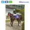 【競馬】ラヴズオンリーユー、イギリス遠征www