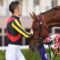 【競馬】ルメールが追い出されてスミヨンがアガ・カーン4世の主戦騎手になったのは納得だよな