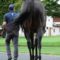 【競馬】キタサンブラックの18億も稼いだか？感は異常