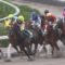 【競馬・エリ女】騎手の差が判明ｗｗｗｗｗｗラッキーライラック