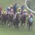 【競馬】新人騎手・泉谷楓真くん上手すぎワロタwwwwwww 【競馬】新人騎手・泉谷楓真くん上手すぎワロタwwwwwww