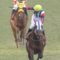 【競馬・アルゼンチン共和国杯】横山ノリのテンション低い