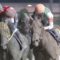 【競馬】クリソベリルほど強いのにここまで空気な馬を見たことないんだが
