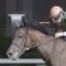 【競馬・帝王賞】クリソベリル強すぎワロタｗｗｗｗｗｗｗｗｗｗｗｗｗ