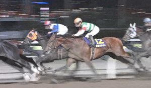【競馬】クリソプレーズ産駒(クリソライト、マリアライト、クリソベリル、リアファル) 【競馬】クリソプレーズ産駒(クリソライト、マリアライト、クリソベリル、リアファル)