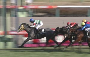 【競馬】2歳中山芝2000で1:58.9wwwwwwwwwww