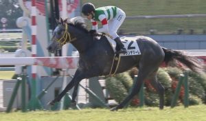 【競馬】デビュー2連勝グランデマーレ　骨折で全治6カ月、藤岡師「いい休養になれば」