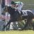 【競馬】令和の新芦毛伝説 グランデマーレ